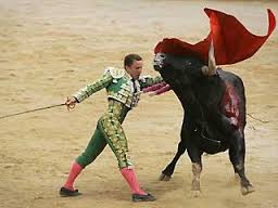 bull turns around man