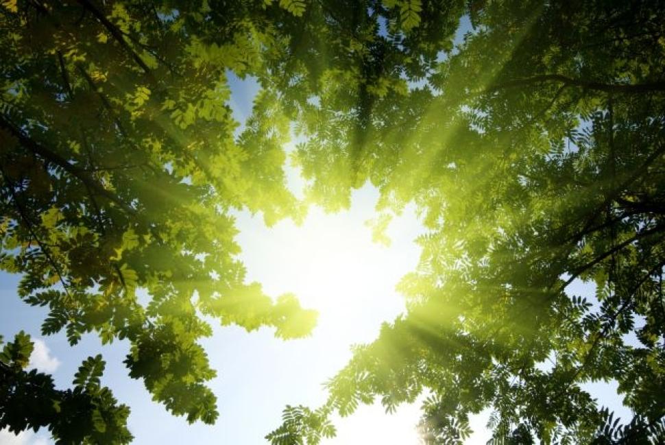 http://www.nydailynews.com/life-style/health/sunliught-reduce-high-blood-pressure-study-article-1.1586791