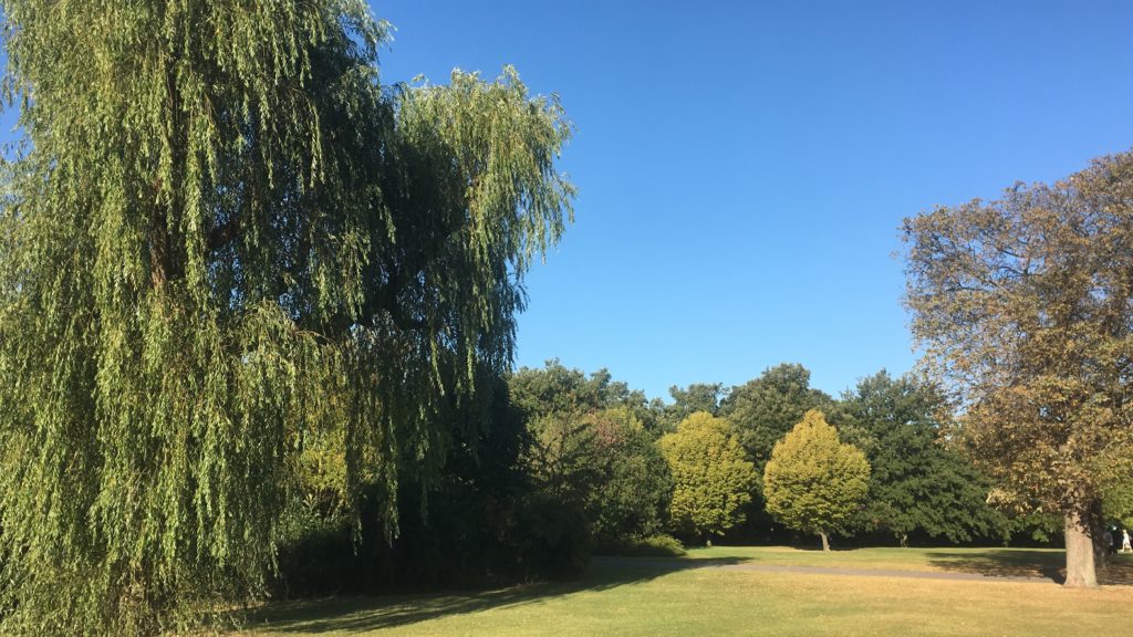 Regents Park