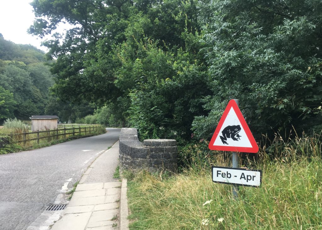 On the approach to the estate