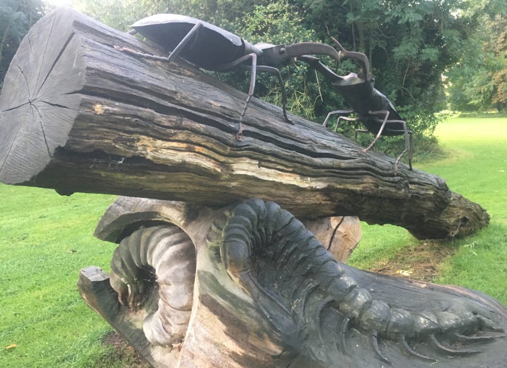 Stag beetle sculpture in Lee Valley