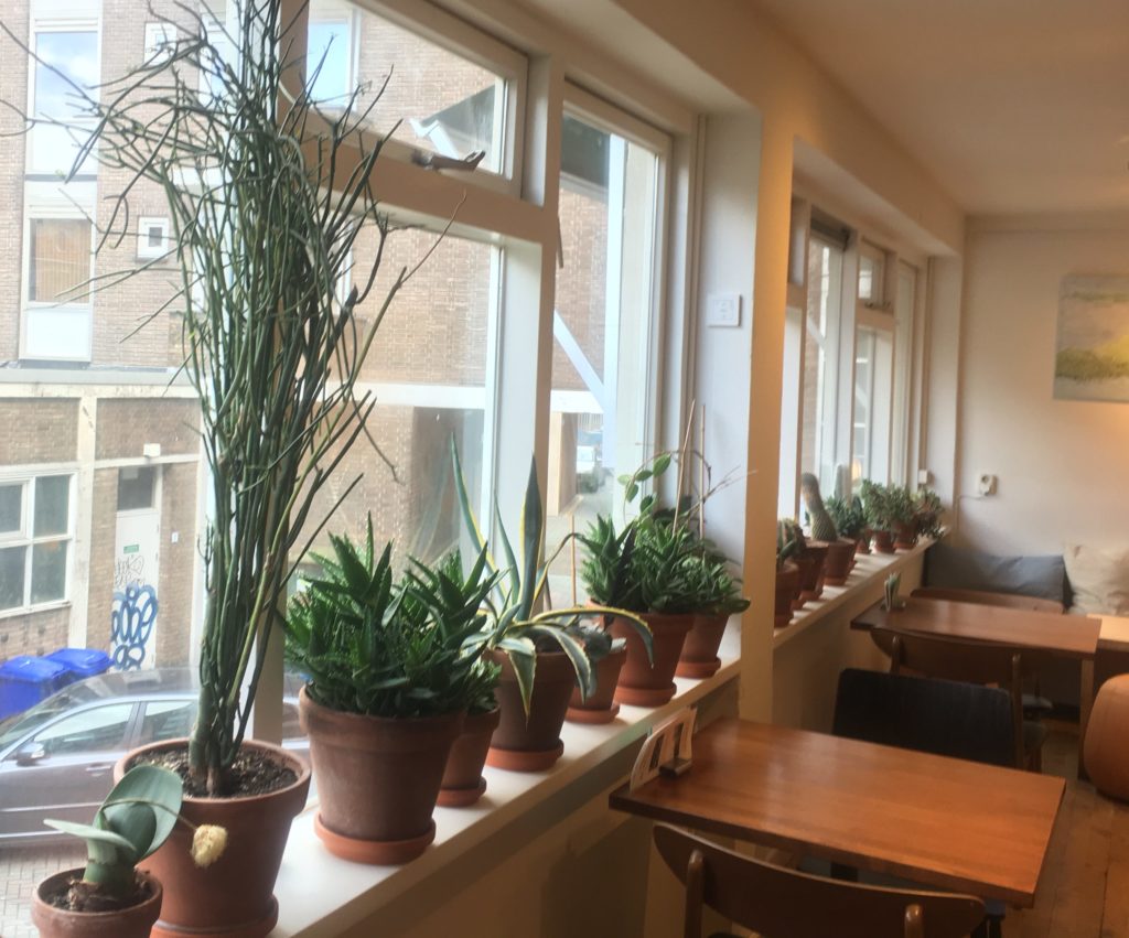 Spirit is a beautiful vego restaurant in de Groene Passage