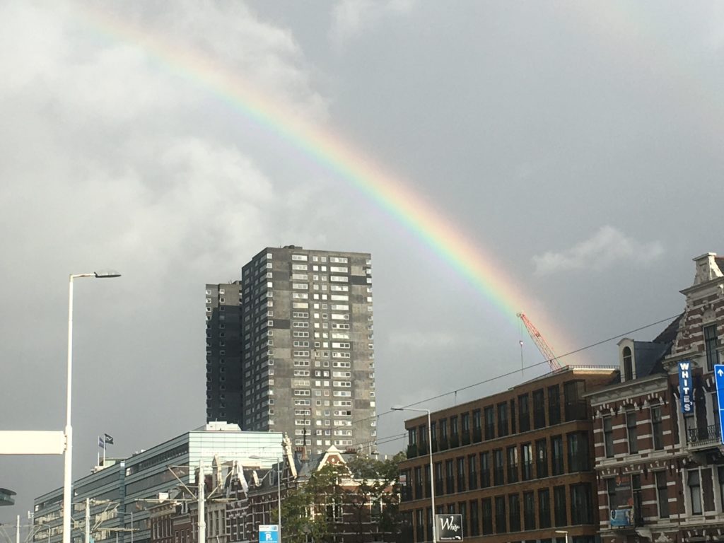 Hope springs from a crane in Rotterdam