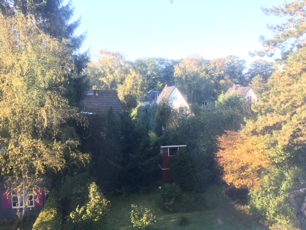 View from Airbnb in Hamburg
