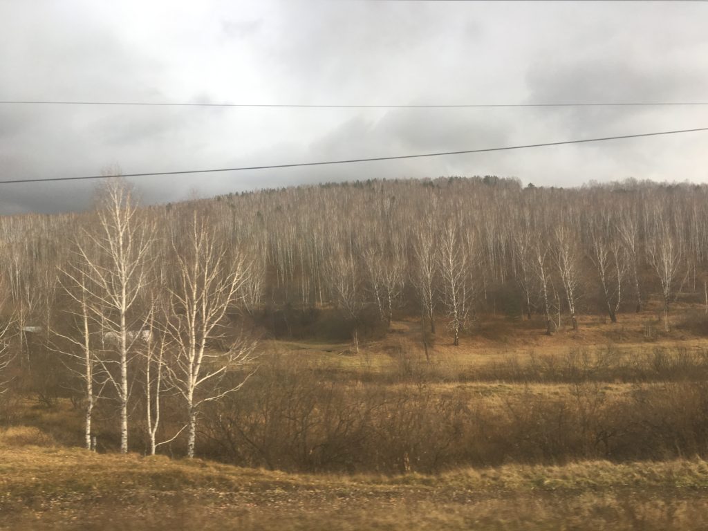 Autumn undulations of Berezovskiy rayon