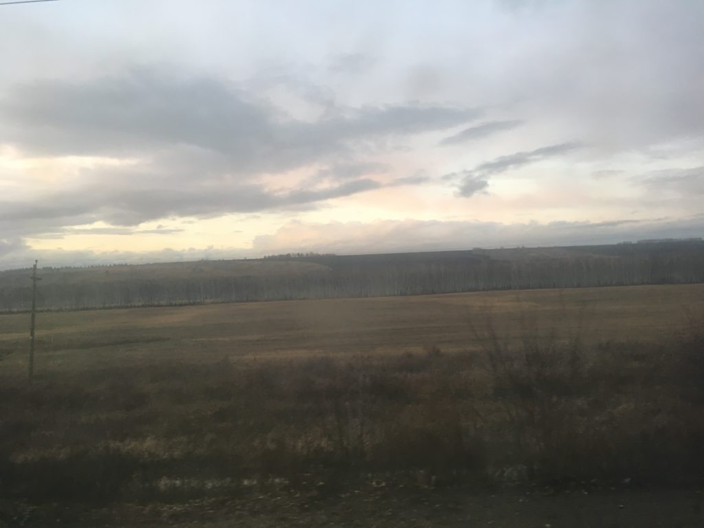 Muted tones in Ilanskiy rayon