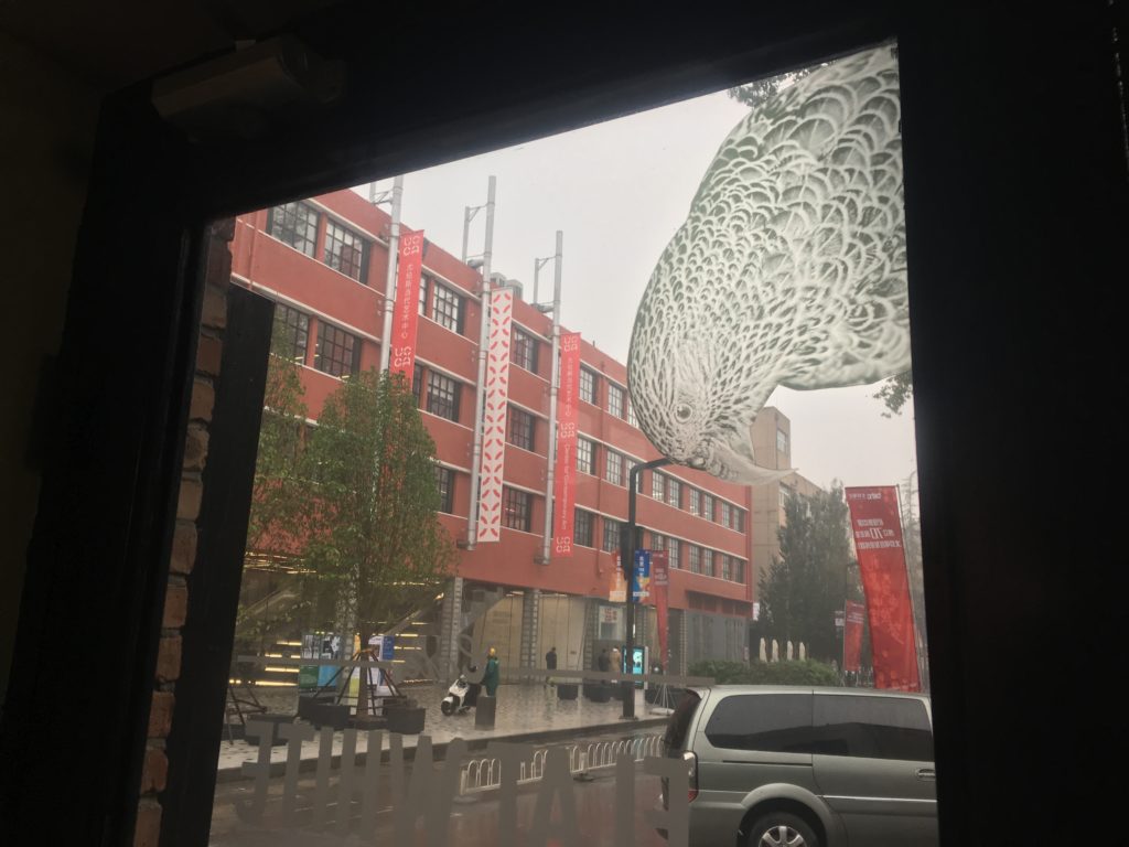 Inside Cafe Latte, a NZ cafe with a kea chewing the streetlight