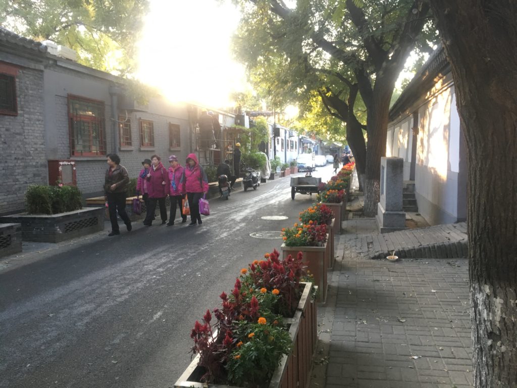 Hutong featuring flowers in front and tons of snack bars and trinkets behind me