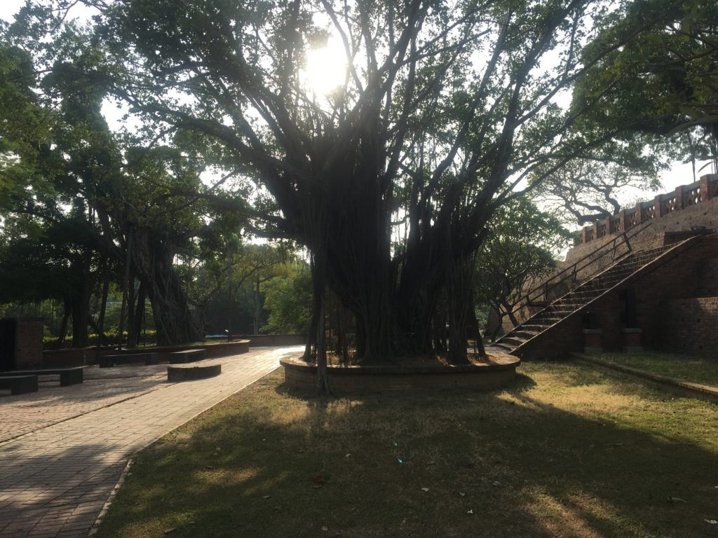 Beautiful trees in the grounds of Fort Zeelandia
